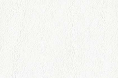 P100-SNOWDRIFT-t