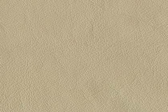 P140-PARCHMENT-t