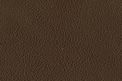 P225-SABLE-t