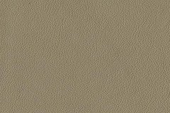 P248-TAUPE-t