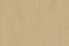 P263-SANDSTONE-t