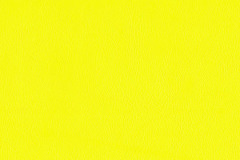 P305-LEMON-t