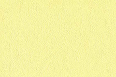 P348-MARIGOLD-t