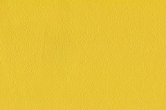 P350-GOLDENROD-t