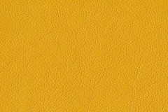 P380-MANGO-t