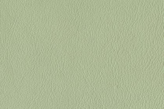 P433-LICHEN-t