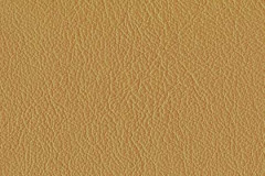 P453-OCHRE-t