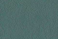 P475-EVERGREEN-t