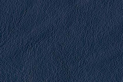 P564-OCEAN-t
