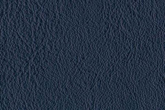 P570-BALTIC-t