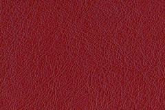 P579-MULBERRY-t