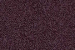 P585-AUBERGINE-t