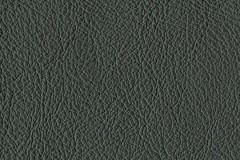 P587-OLIVE-t
