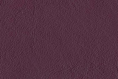 P590-PLUM-t