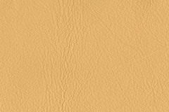 P603-WILLOW-t