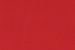 P655-PEPPER-t