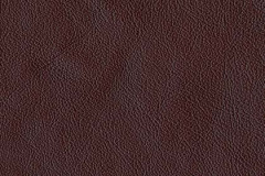 P673-OXBLOOD-t
