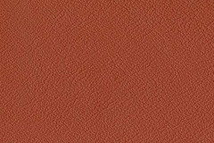 P680-BRICK-t