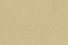 P701-SAND-t