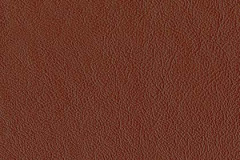 P766-NUTMEG-t