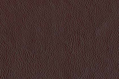 P770-BROWNSTONE-t