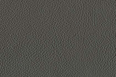 P805-PEWTER-t