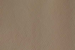 P825-PUTTY-t