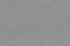 P864-LEAD-t