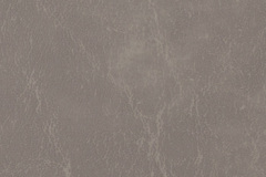 Antelope-CR-507
