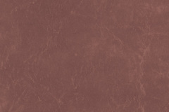 Buck-CR510