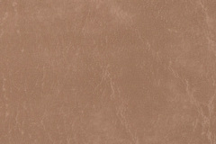 Camel-CR506