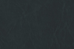 Forest-Green-CR503