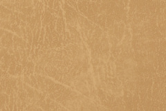 Gold-CR504