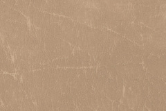 Parchment-CR505