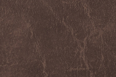 Tan-CR509