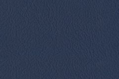 003_Blue