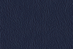 005_Dark_Blue