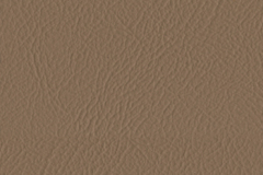 006_Buckskin