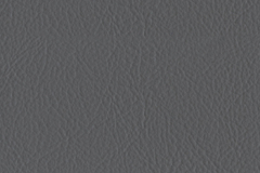 072_Lt_Grey