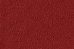 075_Bright_Red