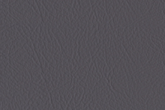 076_Mist