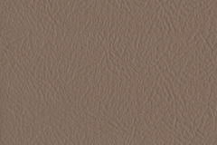 082_Ecru