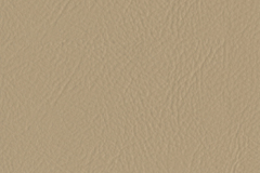 084_Custard