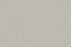 086_Fog