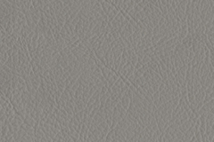 091_Dove_Grey