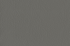 093_Shale