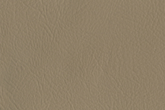 094_Desert