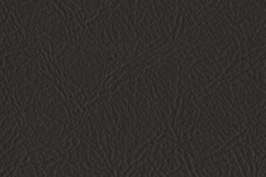 095_Bronze