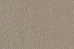 098_Parchment