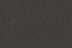 099_Light_Bronze